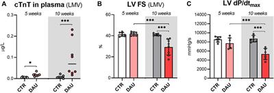 Cardiac miRNA expression during the development of chronic anthracycline-induced cardiomyopathy using an experimental rabbit model